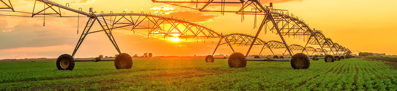 Cropping in the Rockhampton region